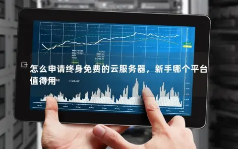 怎么申请终身免费的云服务器，新手哪个平台值得用