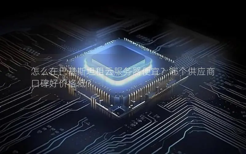 怎么在巴基斯坦租云服务器便宜？哪个供应商口碑好价格低？