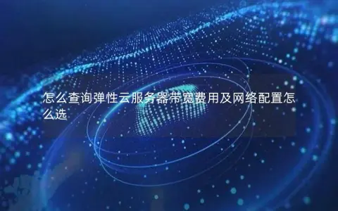 怎么查询弹性云服务器带宽费用及网络配置怎么选