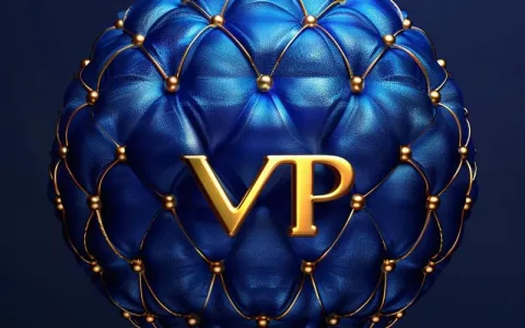 海外不限流量VPS到底怎么选最划算？