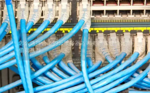 怎么选择合适的云服务器？哪些品牌性价比高值得推荐