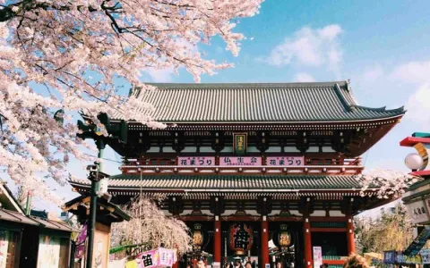 哪些值得体验的日本动漫IP游？推荐人气榜单及线路选择