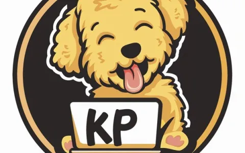 韩国KT动态IP怎么申请以及价格是多少钱？