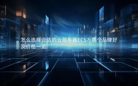 怎么选择合适的云服务器ECS?哪个品牌好及价格一览 怎么选择合适的云服务器ECS?哪个品牌好及价格一览