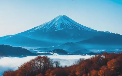 日本云主机有哪些选择？性价比如何？
