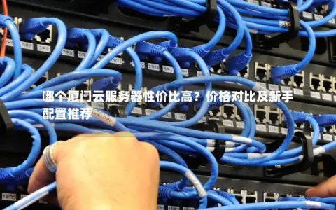 哪个厦门云服务器性价比高？价格对比及新手配置推荐