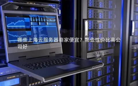 哪些上海云服务器商家便宜？哪些性价比高公司好