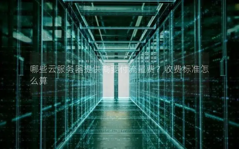 哪些云服务器提供商要付流量费？收费标准怎么算