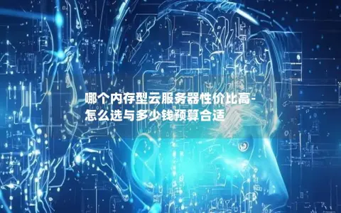 哪个内存型云服务器性价比高-怎么选与多少钱预算合适