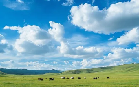 哪个景点最值得玩？丰宁坝上草原旅游攻略