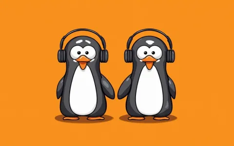 哪个国内Linux面板最好用？宝塔和WDCP哪个适合新手