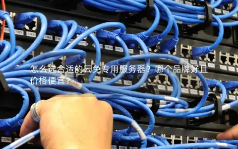 怎么选合适的云免专用服务器？哪个品牌好且价格便宜？