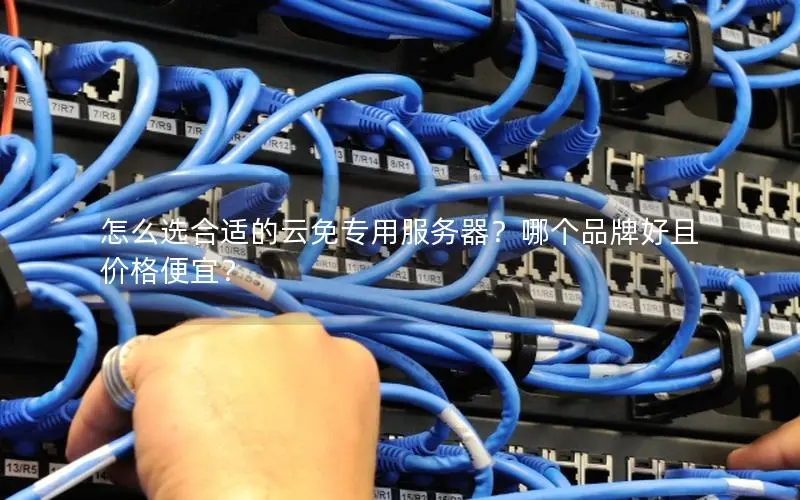 怎么选合适的云免专用服务器?哪个品牌好且价格便宜? 怎么选合适的云免专用服务器?哪个品牌好且价格便宜?
