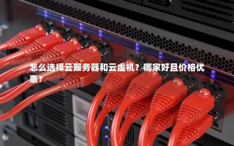 怎么选择云服务器和云虚机？哪家好且价格优惠？