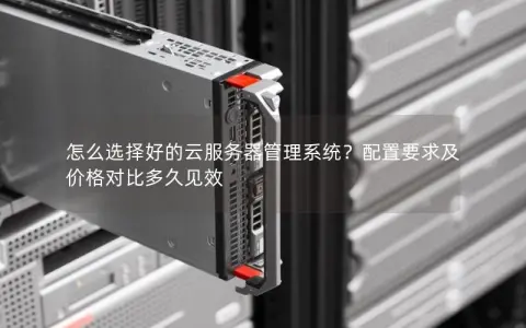 怎么选择好的云服务器管理系统？配置要求及价格对比多久见效