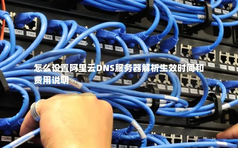 怎么设置阿里云DNS服务器解析生效时间和费用说明 怎么设置阿里云DNS服务器解析生效时间和费用说明