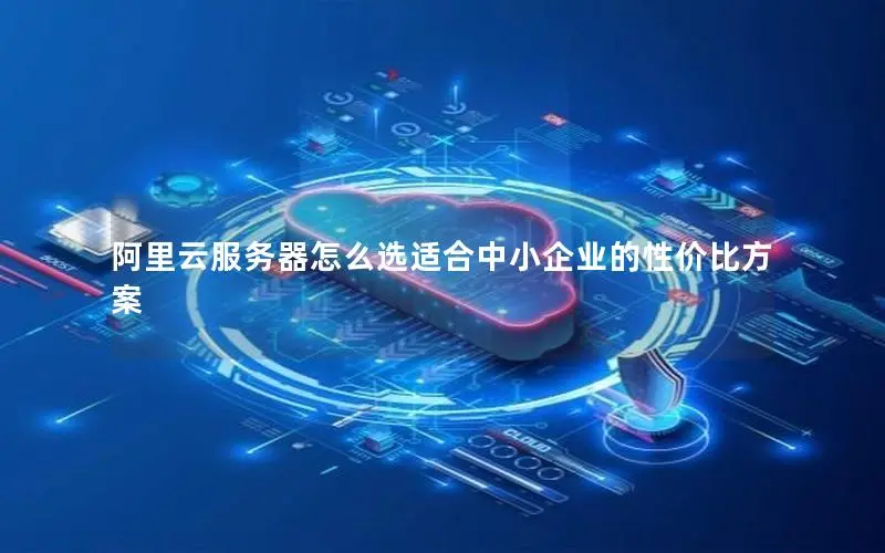 阿里云服务器怎么选适合中小企业的性价比方案