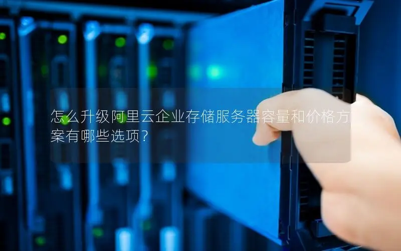 怎么升级阿里云企业存储服务器容量和价格方案有哪些选项？