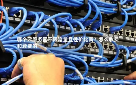 哪个云服务器不限流量且性价比高？怎么收费和续费的