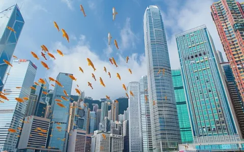 如何选择香港代理IP，哪个性价比高，价格多少？