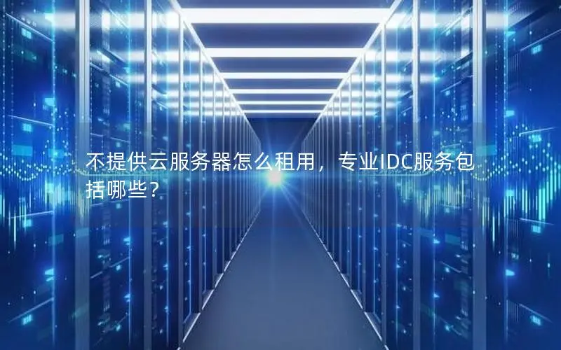 不提供云服务器怎么租用，专业IDC服务包括哪些？