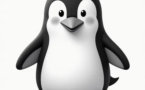 全面指南：Linux C Shell命令的正确输入方法
