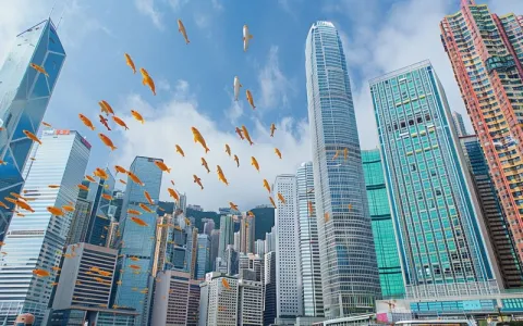 怎么在香港买带宽以及多少钱？