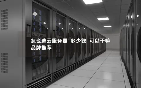 怎么选云服务器  多少钱  可以干嘛  品牌推荐
