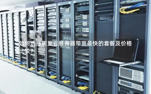 如何选择阿里云服务器带宽最快的套餐及价格比较？