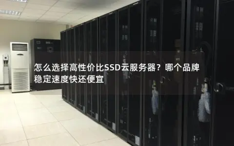 怎么选择高性价比SSD云服务器？哪个品牌稳定速度快还便宜