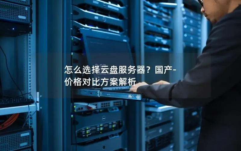 怎么选择云盘服务器？国产-价格对比方案解析