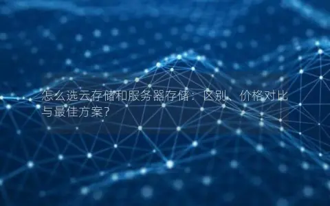 怎么选云存储和服务器存储：区别、价格对比与最佳方案？