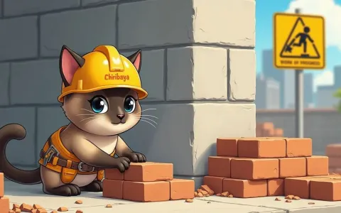 如何搭建Tomcat网站教程？(入门指南与配置步骤详解)