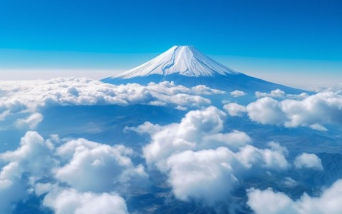 选购日本云主机怎么挑选免费试用期最长的哪个平台？