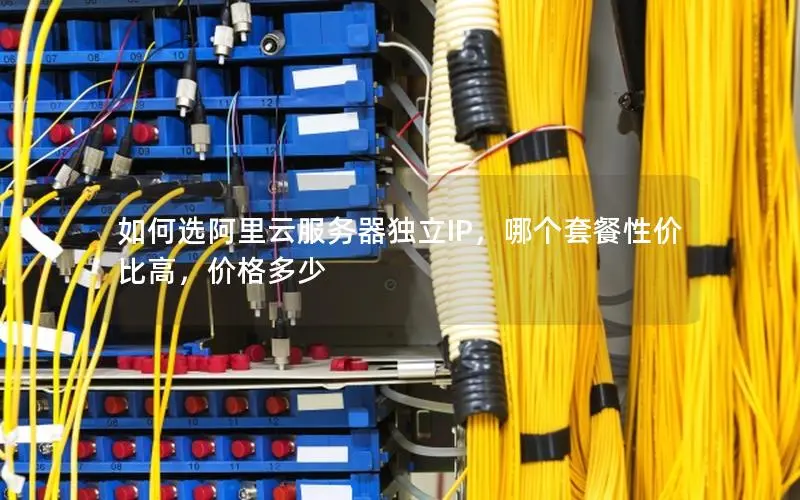如何选阿里云服务器独立IP，哪个套餐性价比高，价格多少