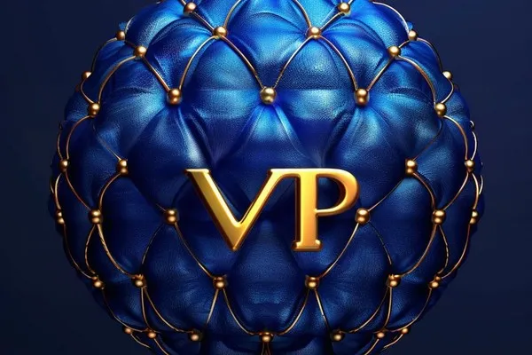 VPS更换IP的常用方法有哪些 VPS更换IP的常用方法有哪些