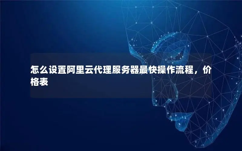 怎么设置阿里云代理服务器最快操作流程，价格表