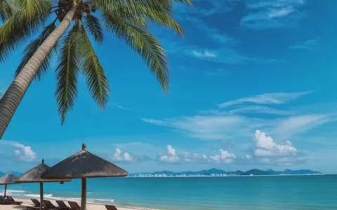 如何选择最适合投资的海南房产及价格分析指南