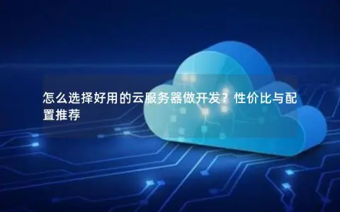 怎么选择好用的云服务器做开发？性价比与配置推荐