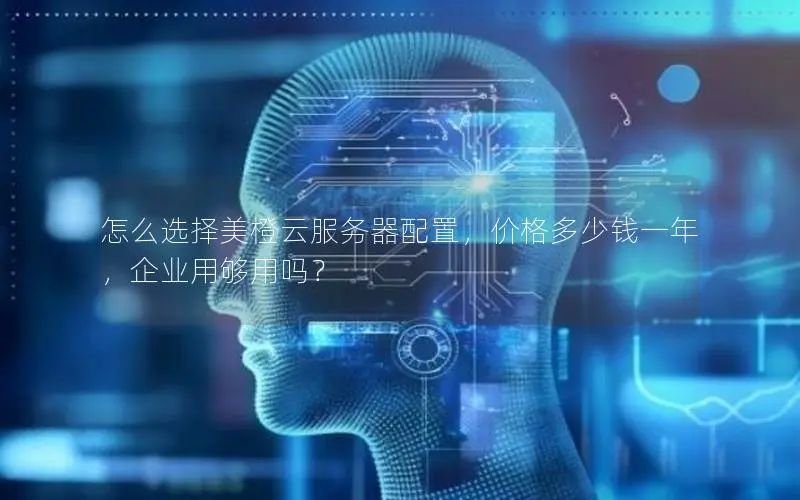 怎么选择美橙云服务器配置，价格多少钱一年，企业用够用吗？