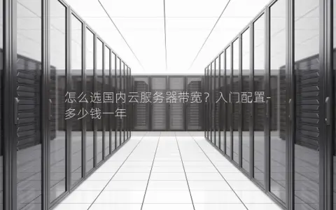 怎么选国内云服务器带宽？入门配置-多少钱一年