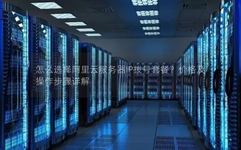 怎么选择阿里云服务器IP拨号套餐？价格及操作步骤详解