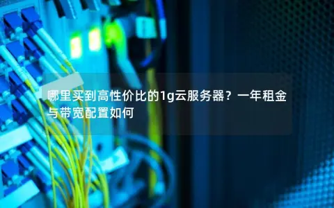 哪里买到高性价比的1g云服务器？一年租金与带宽配置如何