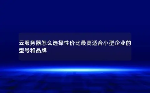 云服务器怎么选择性价比最高适合小型企业的型号和品牌