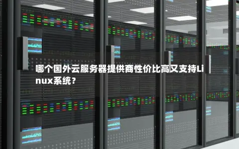 哪个国外云服务器提供商性价比高又支持Linux系统？