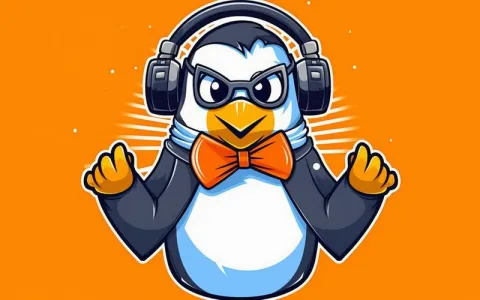 Linux中如何使用netpas网络加速器 Linux中如何使用netpas网络加速器