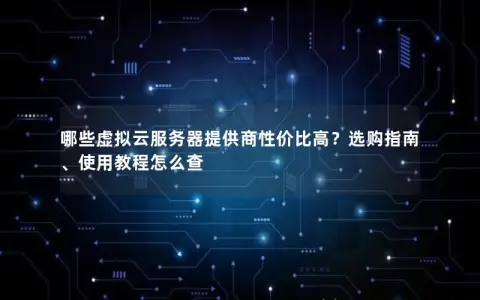 哪些虚拟云服务器提供商性价比高？选购指南、使用教程怎么查