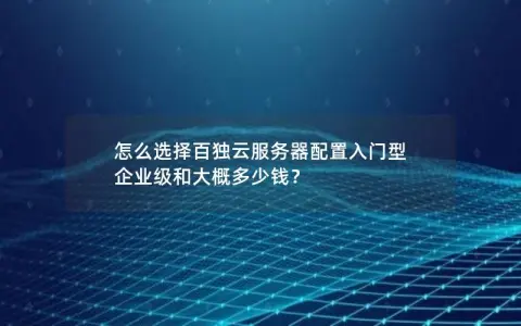 怎么选择百独云服务器配置入门型 企业级和大概多少钱？