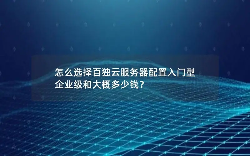 怎么选择百独云服务器配置入门型 企业级和大概多少钱? 怎么选择百独云服务器配置入门型 企业级和大概多少钱?
