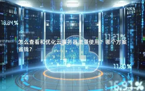 怎么查看和优化云服务器流量使用？哪个方案省钱？